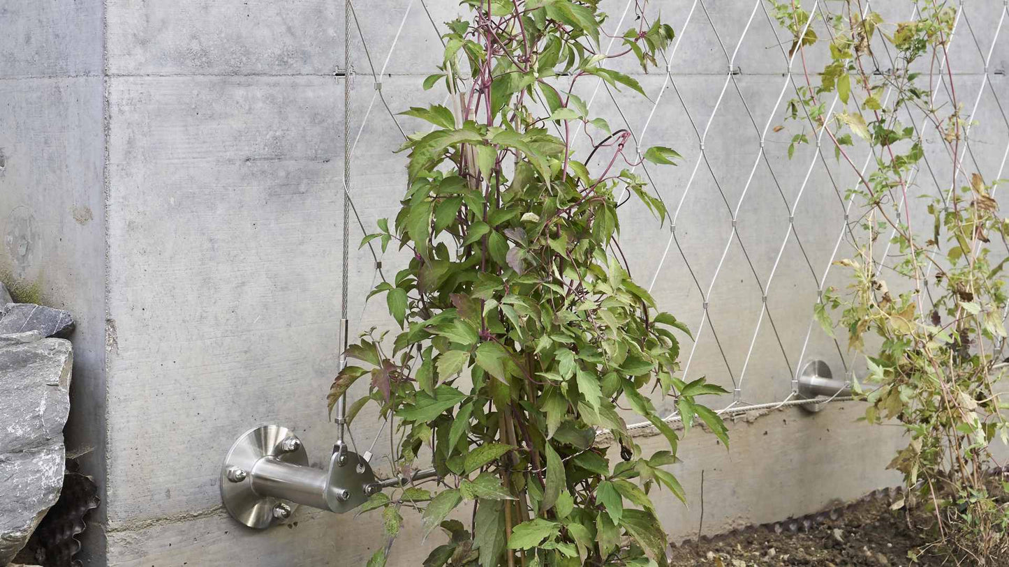 Stainless steel vertical garden trellis