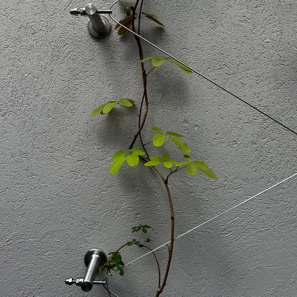 jakob 96 in wire rope plant trellis system Jakob GreenKit Net - Green wall stainless steel trellis