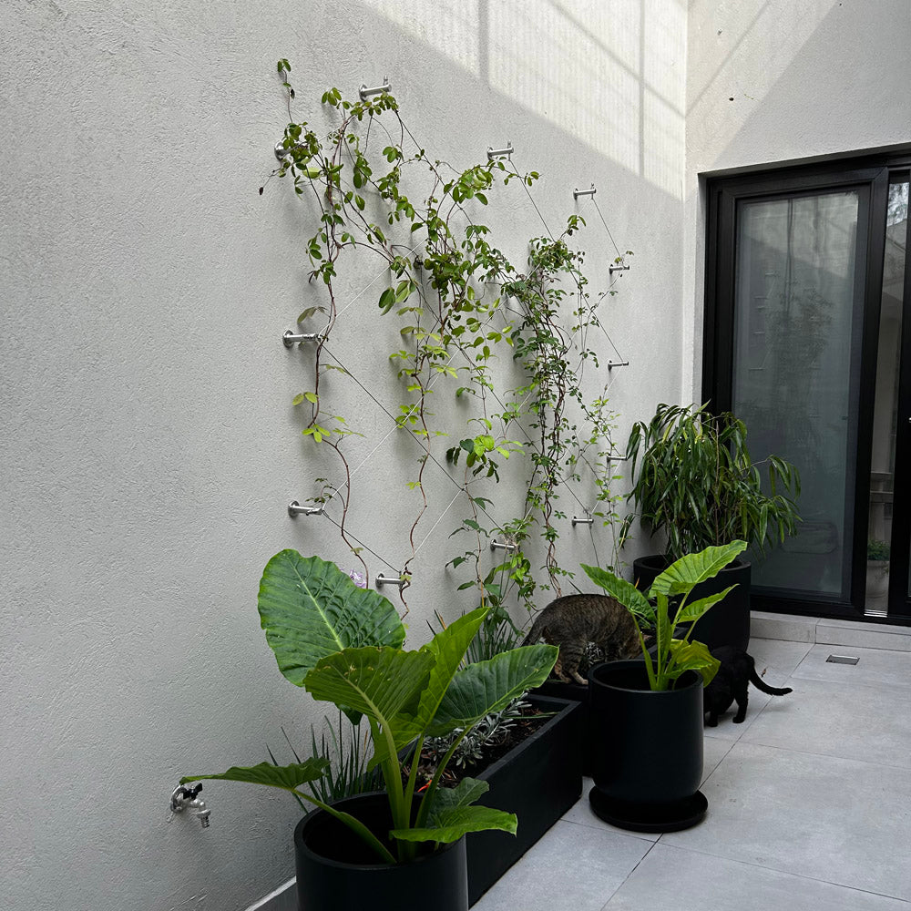 Jakob GreenKit Net - Green wall stainless steel trellis - Jakob