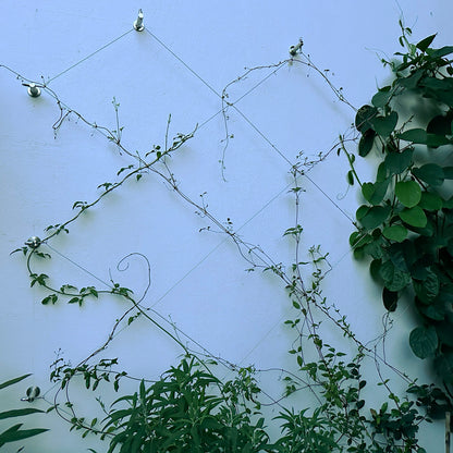 Jakob GreenKit Net - Stainless steel vertical garden trellis
