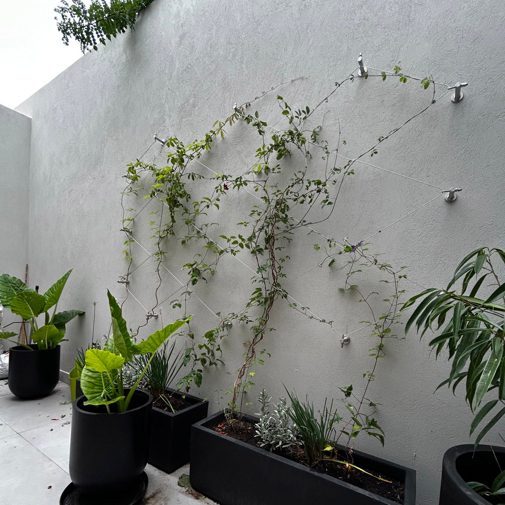steel plant trellis Jakob GreenKit Net - Green wall stainless steel trellis