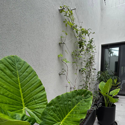 Jakob GreenKit Net - Stainless steel vertical garden trellis